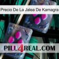 Kamagra Jelly Price 01